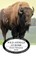Wild Animals at Home