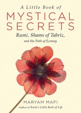 A Little Book of Mystical Secrets