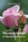 Love Letters of Abelard and Heloise