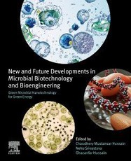 Green Microbial Nanotechnology for Green Energy