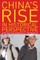 China's Rise in Historical Perspective