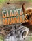 Rise of the Giant Mammals