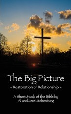 The Big Picture