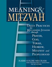 Meaning & Mitzvah