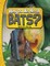 Why Do We Need Bats?
