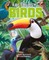Factology: Birds