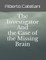The Investigator And The Case Of The Missing Brain