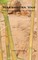 Nakshatra Van Celestial Garden Plantation