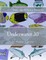 Underwater 30