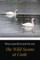 The Wild Swans at Coole