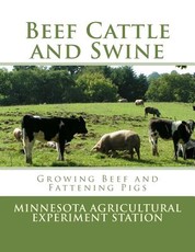 Beef Cattle and Swine