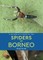 A Naturalist's Guide to the Spiders of Borneo