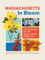 Massachusetts in Bloom