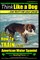 American Water Spaniel, American Water Spaniel Training AAA Akc