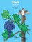 Birds Coloring Book 4, 5 & 6