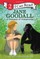Jane Goodall: A Champion of Chimpanzees