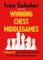 Winning Chess Middlegames