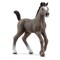 SCHLEICH HORSE CLUB Cheval de Selle Francais veislės kumeliukas