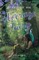 Diary of an Average Fairy