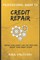 Professional Guide to Credit Repair