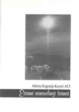 Esame nenaudingi tarnai