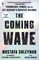 Suleyman, M: Coming Wave