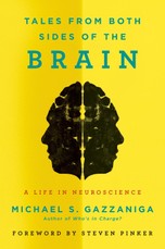 Tales from Both Sides of the Brain
