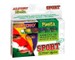 Kreidutės grimui ALPINO Fiesta SPORT 6sp x 5g