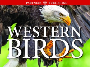 Western Birds