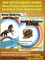 Box Set Children's Books: Horse Picture & Horse Fact Book For Kids & Snake Book For Kids: 2 In 1 Box Set: Intriguing & Interesting Fun Animal Facts - Discovery Kids Books & Rhyming Books For Children