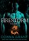 Firestorm: Volume 3