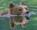 Deimantinė mozaika GRIZZLY SWIM 52x42