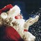 Deimantinė mozaika SANTA 30,50x30,50