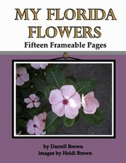 My Florida Flowers Fifteen Frameable Pages