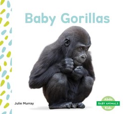 Baby Gorillas