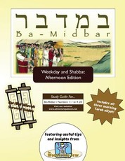 Bar/Bat Mitzvah Survival Guides