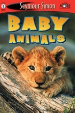Baby Animals