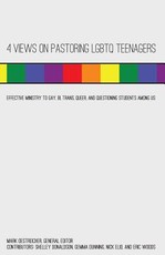 4 Views on Pastoring Lgbtq Teenagers