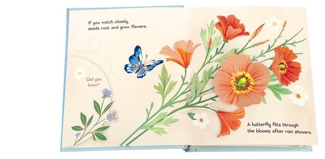 Little Book of Flowers
