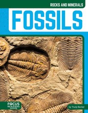 Fossils