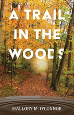 A Trail in the Woods