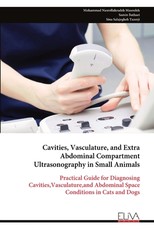 Cavities, Vasculature, and Extra Abdominal Compartment Ultrasonography in Small Animals