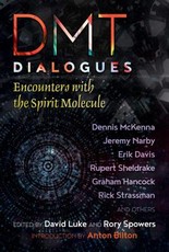Dmt Dialogues