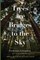 Trees are Bridges to the Sky