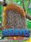 Beehives