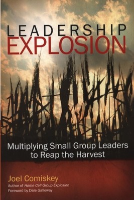 Leadership Explosion | Knygos.lt