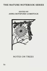 Notes on Trees