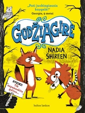 Gūdžiagirė Gūdžiagirė