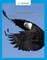 Laboratory Experiments for Introduction to General, Organic and Biochemistry