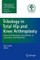 Tribology in Total Hip and Knee Arthroplasty